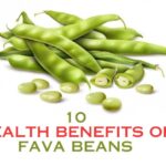 What Are Fava Beans